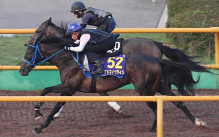 　アドマイヤタイシ（手前）は函館Ｗで豪快な走りを披露