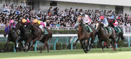 外ラチ沿いの（左から）アンバルブライベン、アースソニック、フクノドリームをまとめて差し切るセイコーライコウ（左から４頭目）