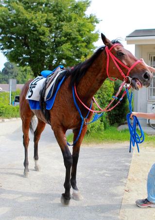 　小倉記念連覇を狙う“夏男”メイショウナルト