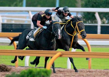 　栗東ＣＷで鋭い動きを見せたラストインパクト（右）（撮影・石湯恒介）