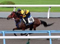 【小倉記念】ナルト早め輸送でバッチリ