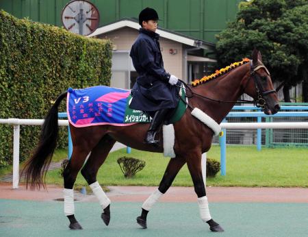 　１１年連続で小倉記念に“参戦”したメイショウカイドウ