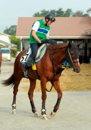 　良馬場での巻き返しに燃えるクラレント