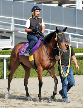 　札幌記念をステップに凱旋門賞に挑戦するハープスター