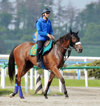 　新馬勝ちを狙うパピーラヴ