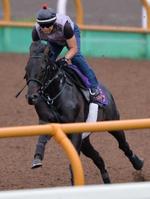 【札幌記念】ロゴタイプ復活へ伸びた