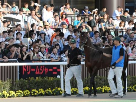 　パドックでファンにお披露目されたドリームジャーニー
