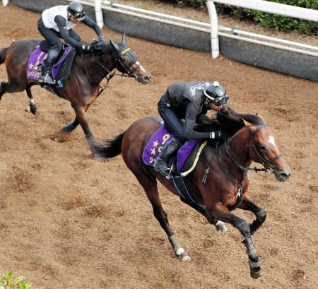 　レッドリヴェール（左）との併せ馬でジャスタウェイは先着を決めた