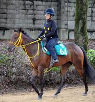 【小倉２歳Ｓ】連闘ロットリーＶ狙う