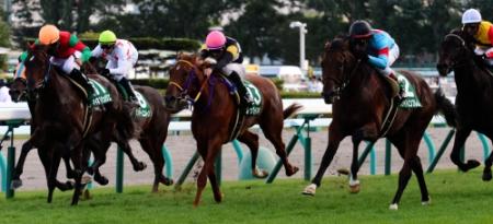 １１Ｒ、札幌２歳Ｓを制したブライトエンブレム（右）＝札幌競馬場（撮影・三好信也）