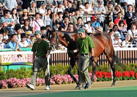 　札幌競馬場に来場しファンを喜ばせるジャングルポケット（撮影・三好信也）