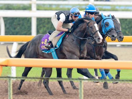 　蛯名を背に美浦Ｗで併せ馬を行ったイスラボニータ（手前）