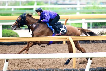 　栗東ＣＷでしまい重点に追われたヴォルシェーブ