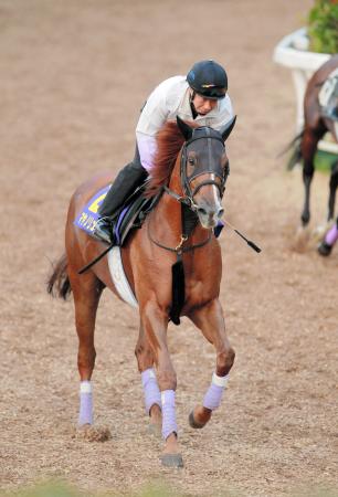 　充実の７歳馬マヤノリュウジンが大外一気を決める