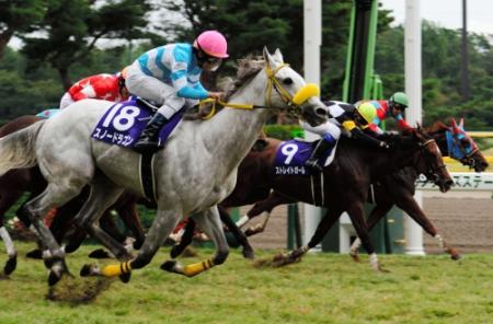 　スプリンターズＳを制したスノードラゴン（手前）中央９番は２着のストレイトガール＝新潟競馬場（撮影・三好信也）