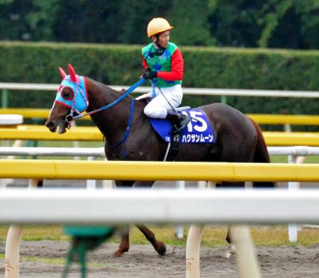 　１番人気も１３着に終わったハクサンムーン