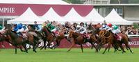【凱旋門賞】ハープ６着が精いっぱい