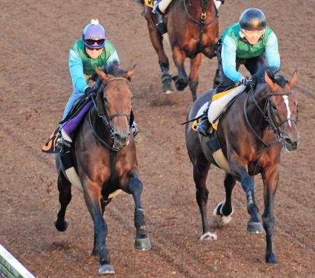 　美浦坂路で併入したミッキーユニバース（左）（撮影・三好信也）