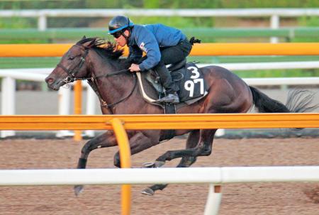 　栗東ＣＷで豪快に先着したサトノフラム（撮影・石湯恒介）