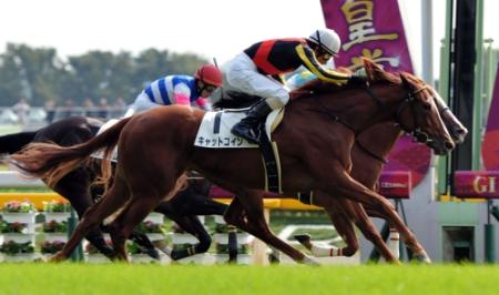 　ゴール前でハナ差かわしてメイクデビューを制したキャットコイン