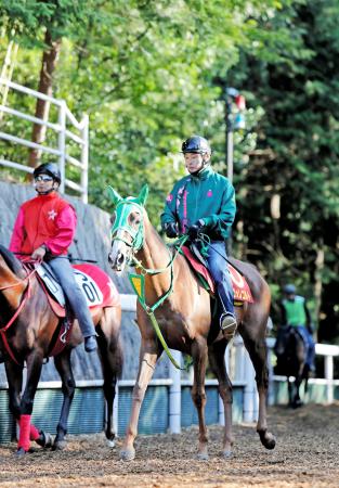 　順調に調整が進むヌーヴォレコルト。２冠達成へ視界は良好だ