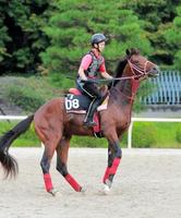 【紫菊賞】ティルナノーグ無傷Ｖ２だ