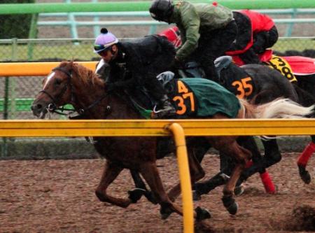 　４月の落馬負傷以来、後藤は２歳馬サトノピスケス（手前）で久々に追い切りに騎乗した