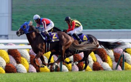 菊花賞を制したトーホウジャッカル（左）２着のサウンズオブアース＝京都競馬場（撮影・山口　登）