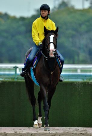 　古馬との決戦へ向け態勢を整えるイスラボニータ