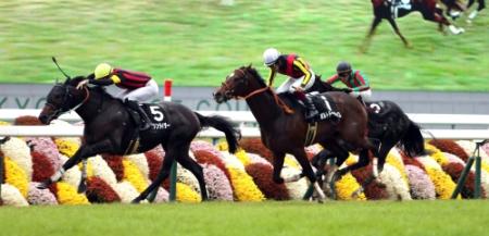 　萩ステークスを制したエイシンライダー（左）（撮影・山口　登）