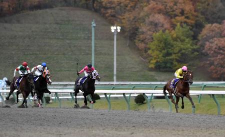 　圧勝でダート王者の貫禄を誇示したコパノリッキー（右）