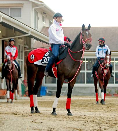 　素質馬ダノングラシアス（中央）が重賞にチャレンジする（撮影・石湯恒介）