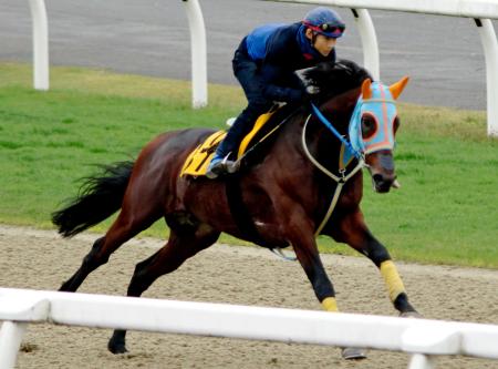 　美浦Ｐで軽快な動きを見せたホッコーブレーヴ（撮影・田村亮介）