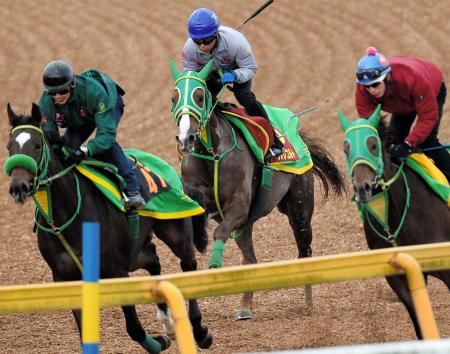 　美浦へ駆けつけた岩田を背にヌーヴォレコルト（中）はＷで上々の動きを見せた