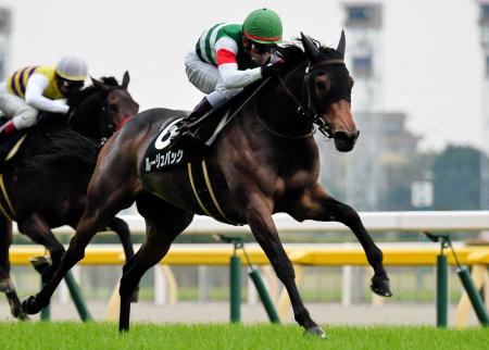 　百日草特別をレコード勝ちしたルージュバック