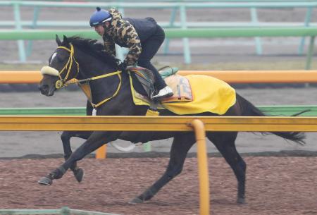 　美浦Ｗで快走したウインマーレライ