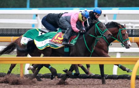 　藤岡康を背に栗東ＣＷで３頭併せを敢行したディアデラマドレ（手前）