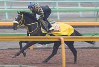 【福島記念】マーレライ３馬身先着