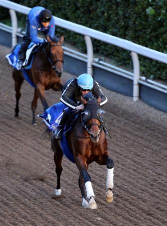 栗東坂路で追い切るワールドエース＝栗東トレセン（撮影・山口　登）