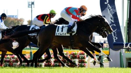 ６Ｒ、外から伸びてメイクデビューを制したエイムハイ＝東京競馬場（撮影・田村亮介）