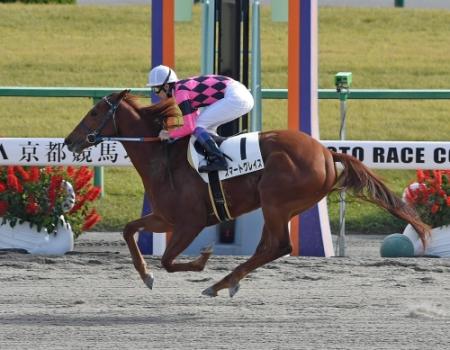 　２歳新馬戦を制したスマートグレイス
