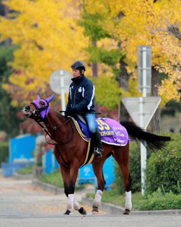 　ＪＲＡ同一Ｇ１・３連覇に挑むジェンティルドンナ