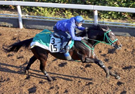 　栗東坂路で武豊を背に追い切るエアソミュール