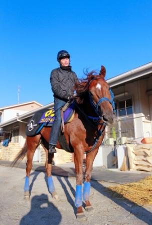 ダートＧ１春秋連覇を狙うコパノリッキー＝栗東トレセン（撮影・石湯恒介）