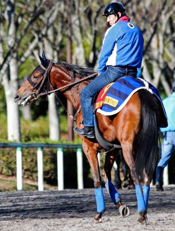 　３連勝でのＧ１制覇を狙うココロノアイ