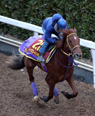 　レッツゴードンキは栗東坂路を折り合い重視の内容で駆け抜けた（撮影・山口　登）