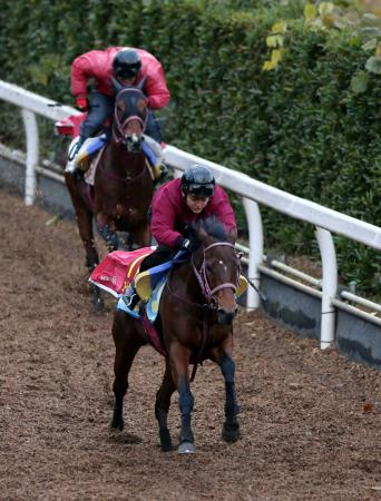 　栗東坂路で追い切られたコートシャルマン（手前）は併走馬を一気に突き放した＝撮影・山口　登