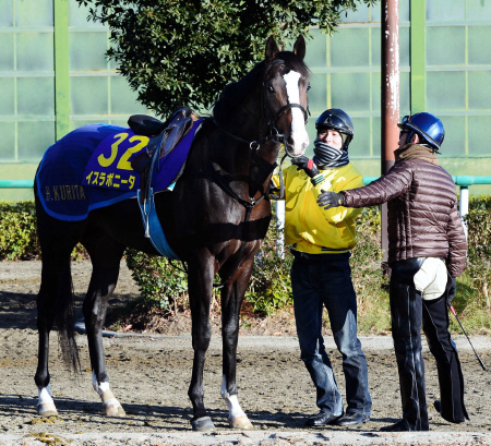 中山記念から始動するイスラボニータ