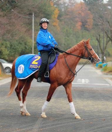　３きょうだいＧ１制覇を目指すアッシュゴールド（撮影・石湯恒介）