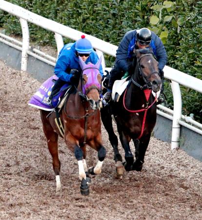 　ジェンティルドンナ（左）は戸崎圭を背に栗東坂路で軽快な動きを見せた＝撮影・持木克友